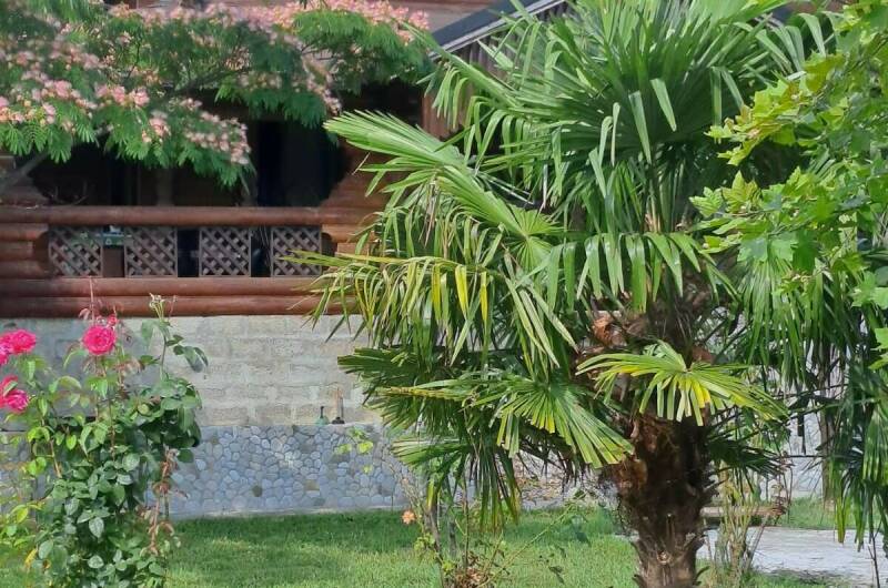 База отдыха «Шепси»