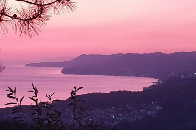 Частный дом «Дубовая роща»