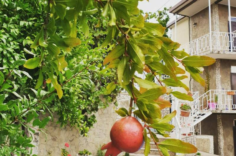 Частный дом «Дубовая роща»