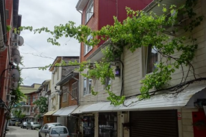 Изображение Гостевой дом «Наталья» #3