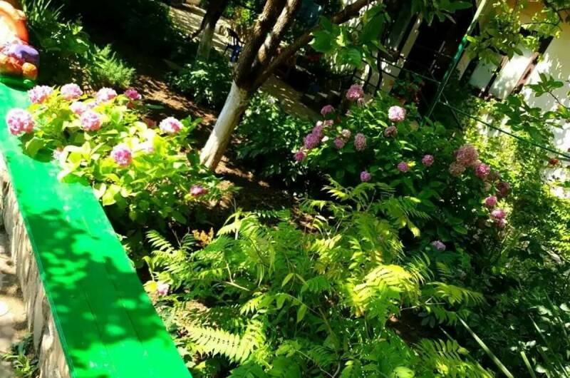 Гостевой дом «Волна»