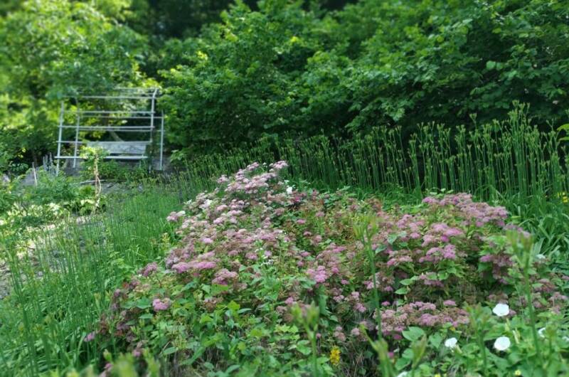 Гостевой дом «Яблоневый сад»