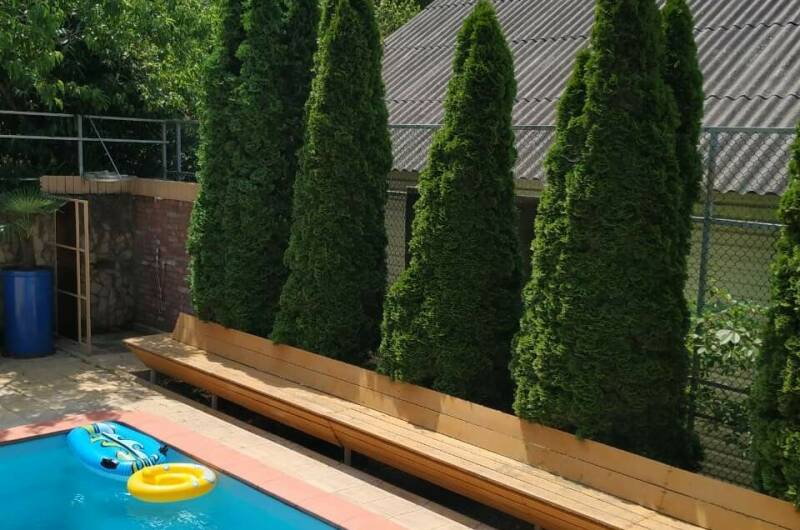 Гостевой дом «Яблоневый сад»