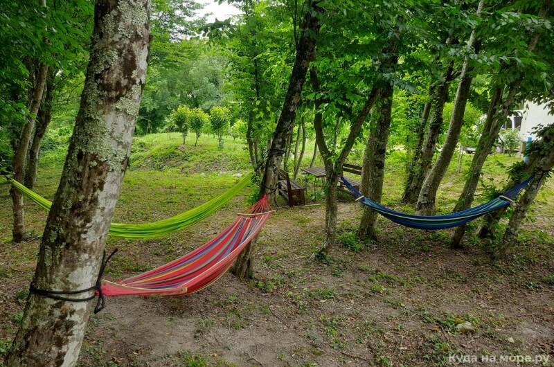 Домик в лесу у моря